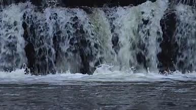 春日荡漾的河水缓慢流动青草小瀑布桃花轻拂视频的预览图